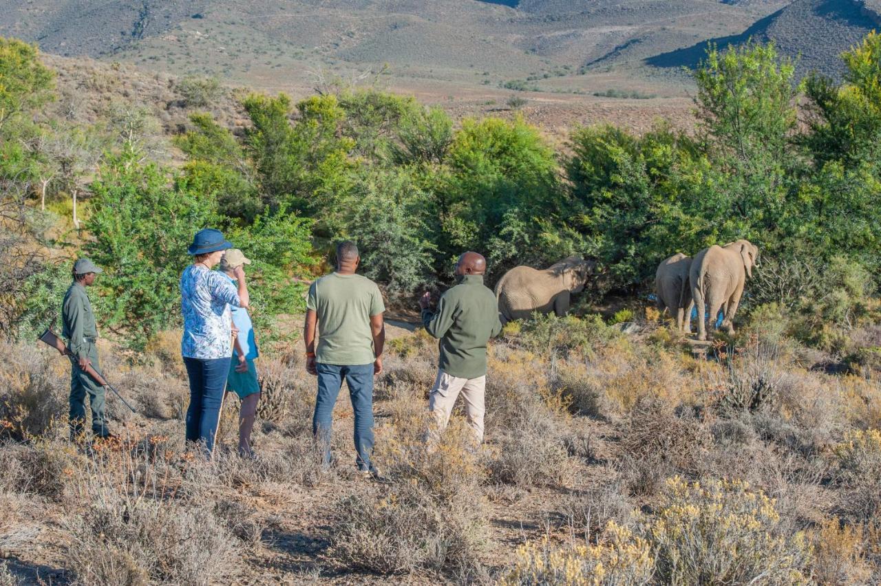 Mont Eco Game Reserve Montagu Exterior photo