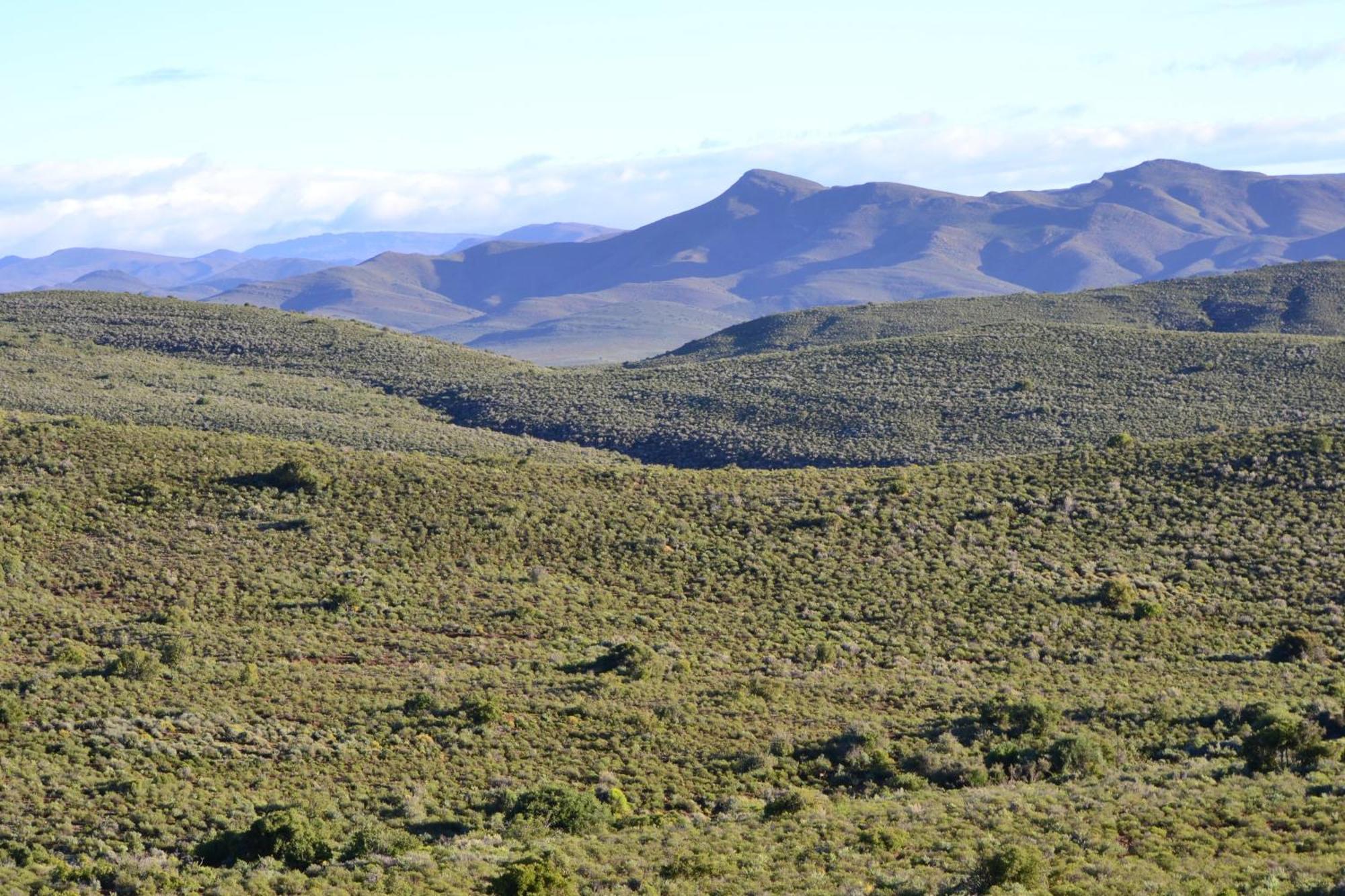 Mont Eco Game Reserve Montagu Exterior photo